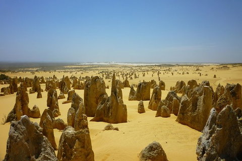 Pinnacles Desert Private Tour - Sydney Tourism 5