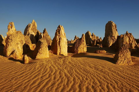 Pinnacles Desert Private Tour - Sydney Tourism 0