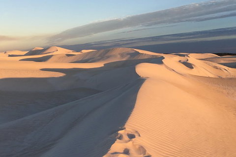 Pinnacles Desert Private Tour - Sydney Tourism 2