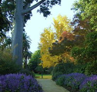 Albury Botanic Garden