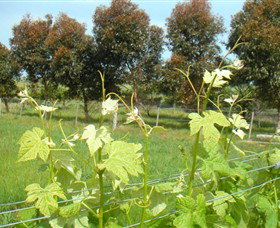 Barramunga VIC Sydney Tourism