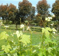 Barwon Ridge Wines - Sydney Tourism