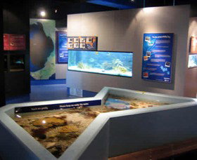 Marine And Freshwater Discovery Centre - Sydney Tourism 0