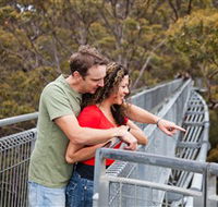 Valley of the Giants Tree Top Walk - Sydney Tourism