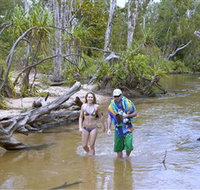 Tjuwaliyn / Douglas Hot Springs Park - Sydney Tourism
