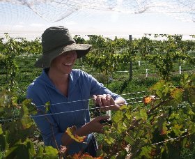 Kingsdale Wines - Sydney Tourism 0