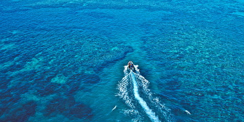 Ocean Free & Ocean Freedom - Cairns Premier Reef And Island Tours - Sydney Tourism 4