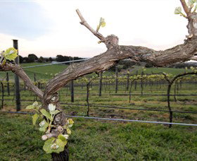 Drysdale VIC Sydney Tourism