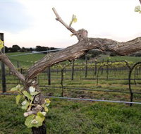 Nalbra Estate Wines - Sydney Tourism