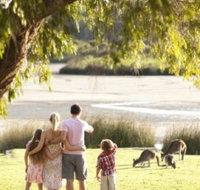 Yanchep National Park - Bushwalking Trails - Sydney Tourism
