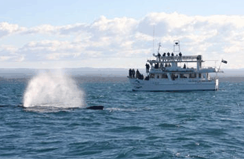 Huskisson NSW Sydney Tourism