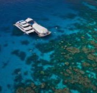 Great Adventures Reef and Green Island Cruises - Sydney Tourism