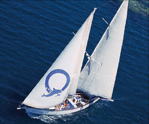 Ocean Free & Ocean Freedom - Cairns Premier Reef And Island Tours - Sydney Tourism 0