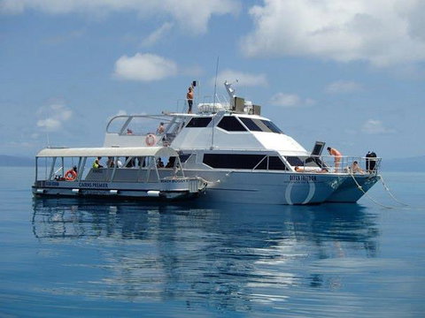 Ocean Free & Ocean Freedom - Cairns Premier Reef And Island Tours - Sydney Tourism 1