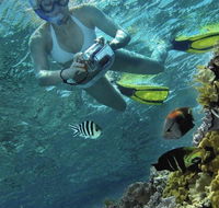 Calypso Reef Charters