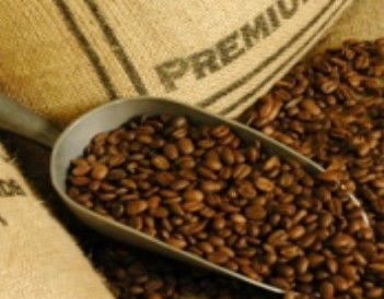 Coffee Works - Sydney Tourism 1