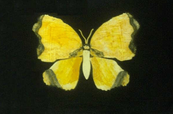 Wangaratta QLD Sydney Tourism