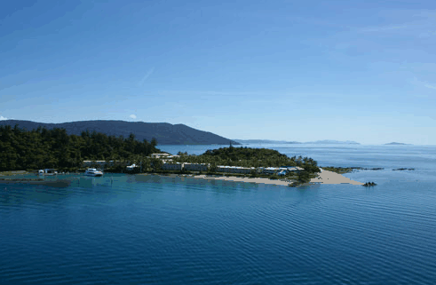 Island Parasail - Sydney Tourism 5