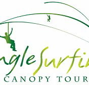 Jungle Surfing Canopy Tours and Jungle Adventures Nightwalks - Sydney Tourism