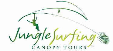 Jungle Surfing Canopy Tours And Jungle Adventures Nightwalks - Sydney Tourism 0