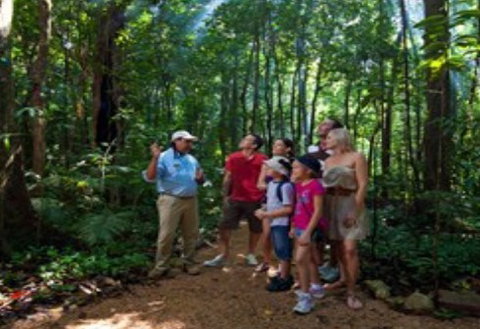 Ngadiku Dreamtime Walks - Mossman Gorge Centre - Sydney Tourism 1