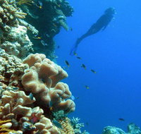 Reef Magic Cruises