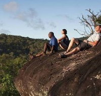 Cooktown Aboriginal Art Tours - Sydney Tourism