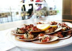 Salt Bar And Restaurant - Sydney Tourism 1