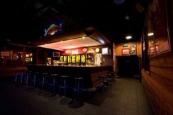 The Mustang Bar - Sydney Tourism 2