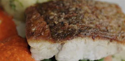 Portabella Licensed Restauraunt - Sydney Tourism 1