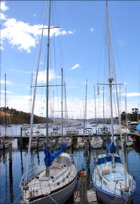 Oyster Cove Inn - Sydney Tourism 0