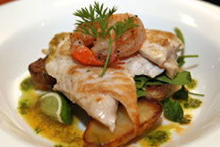 Oasis Hotel - Sydney Tourism 2