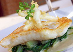 Airport Hotel - Sydney Tourism 2