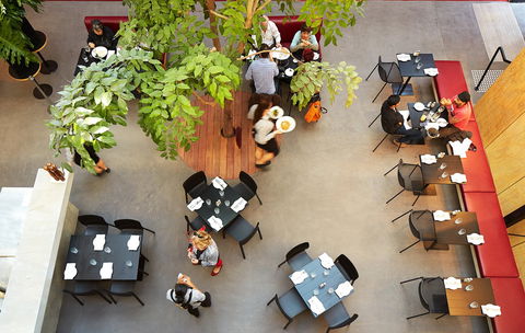 Subiaco Hotel - Sydney Tourism 3