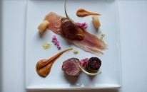 JAM Corner - Sydney Tourism 3