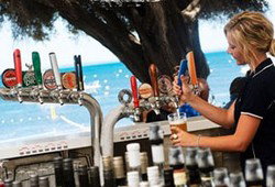 Quokka Arms - Sydney Tourism 0