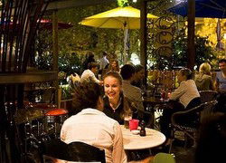 Treehouse Hotel - Sydney Tourism 0
