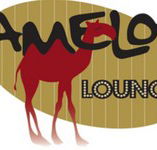 Camelot Lounge - Sydney Tourism