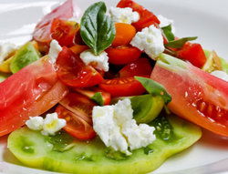 Hotel Illawarra - Sydney Tourism 2