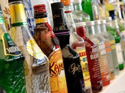 Quokka Arms - Sydney Tourism 2