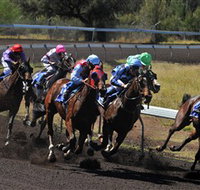 Alice Springs Turf Club - Sydney Tourism
