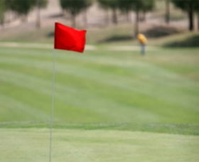 Gold Creek Country Club - Sydney Tourism 0