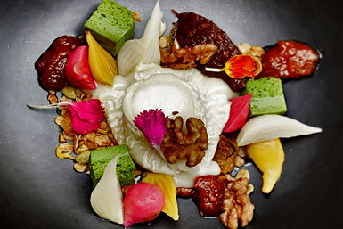 Botanical Hotel - Sydney Tourism 0