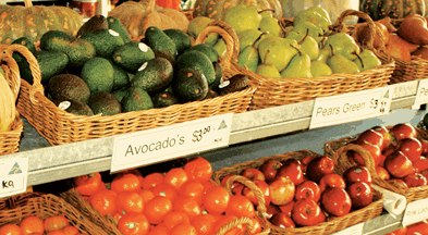 Supply Jervis Bay - Sydney Tourism 2