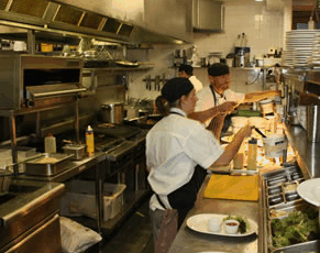 Terrace Bar - Sydney Tourism 1