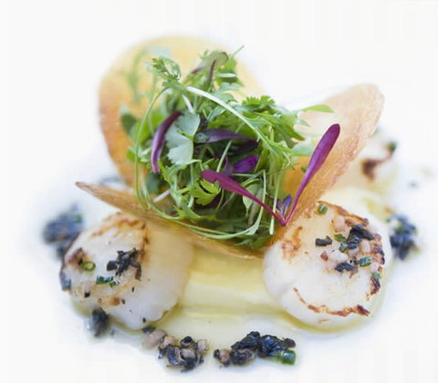 Garden Court - Sydney Tourism 1