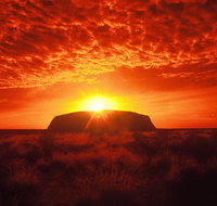 Annie's Place - Sydney Tourism