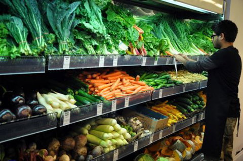 About Life - Sydney Tourism 0