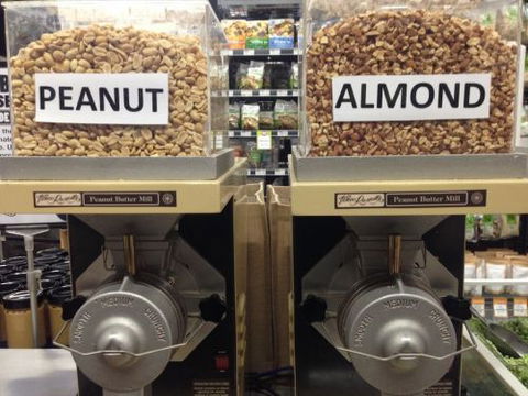 About Life - Sydney Tourism 1