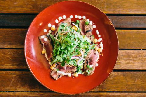 The Plough Inn Steakhouse Restaurant - Sydney Tourism 4
